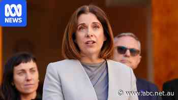 Wells willing to change digital harm proposal to win Coalition support