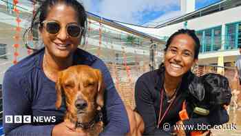 Dogtember festival returns to lido for 10th year
