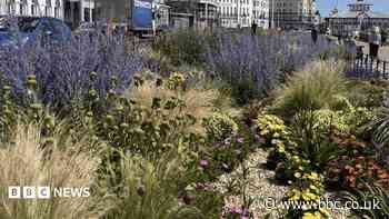 Residents back keeping sustainable flower beds