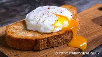 Poached eggs are 'perfect' every time if you ditch pan for 'easiest' method
