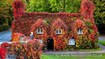 The most beautiful places in Wales to see dazzling autumn colours this year