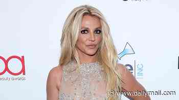 Britney Spears hopes she 'can be the best mommy' to her sons as her youngest Jayden celebrates milestone 20th birthday