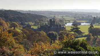 Not Cardiff or Caerphilly – this gothic Welsh castle is free to enter and has ghost tours