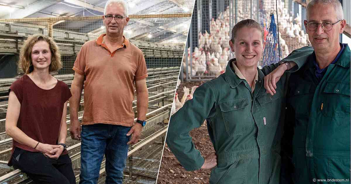 Geen kip meer te bekennen, na dertig jaar en 800 miljoen eieren: ‘De toekomst was te onzeker’