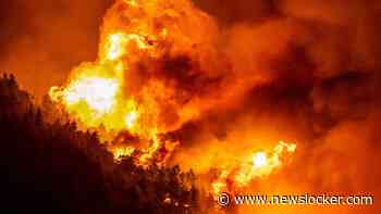 Bosbrand op Kroatisch eiland bedreigt woningen: 3000 hectare in as gelegd