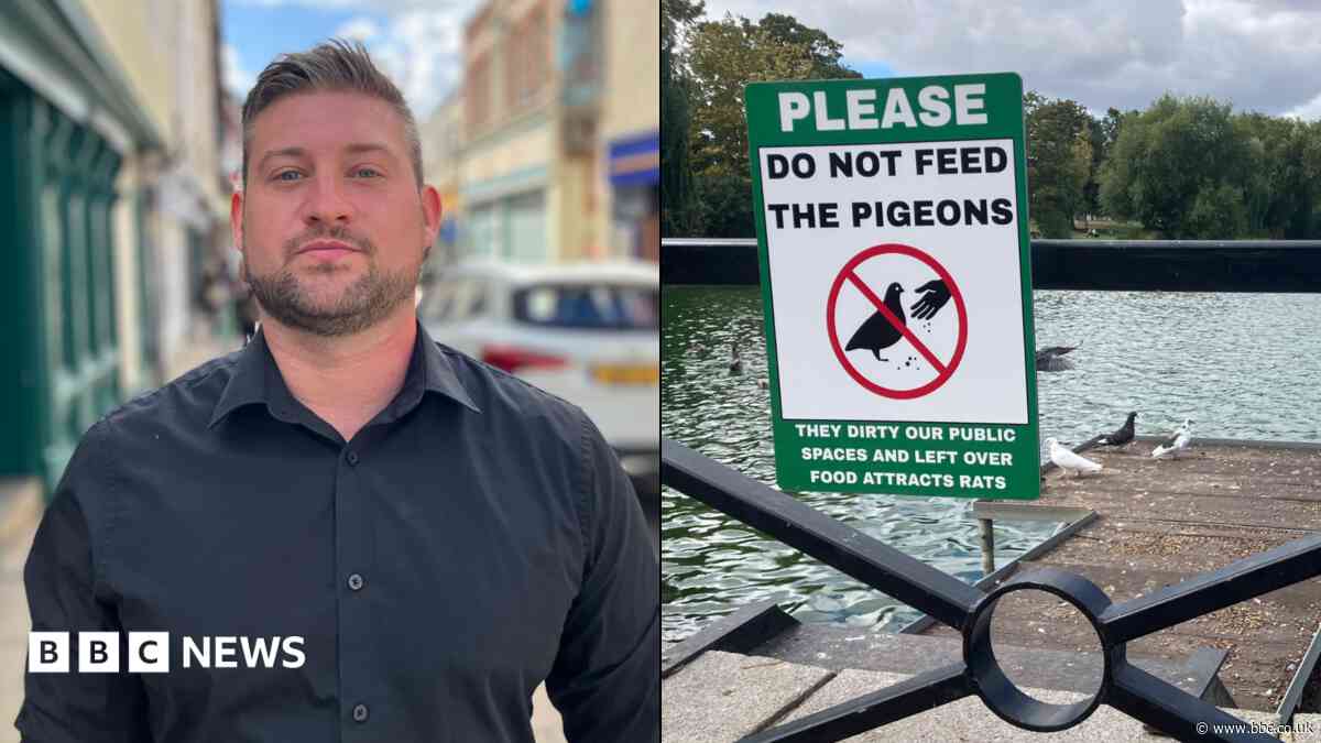 Town gets in a flap over High Street pigeon mess
