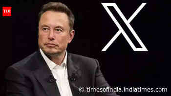 Irish man asks Grok about moving to India, Elon Musk’s 3-word reply goes viral
