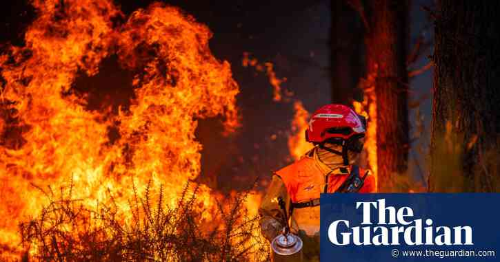 France confronts arson problem after devastating summer of wildfires