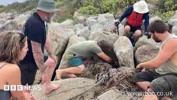 More than a tonne of plastic cleared from beaches