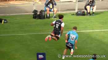 'Exceptional' new Wales cap steals show and Springboks v New Zealand ends in crushing