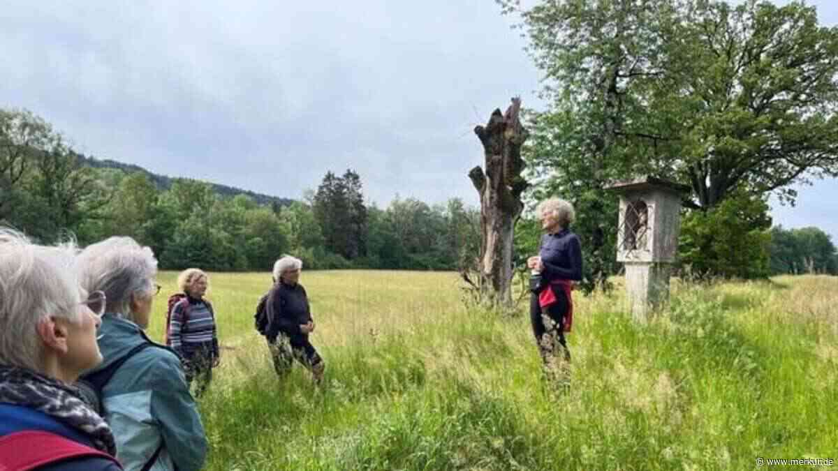 Wanderung für Krebs-Patienten: „Wer pilgert, erlebt“ – Anmeldeschluss naht