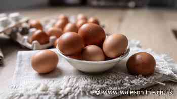 Eggs can stay fresh for up to 5 weeks if stored in 1 overlooked kitchen spot