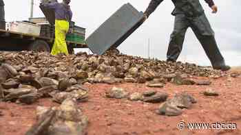With millions of dead oysters and mounting debt, P.E.I. farmers fear they'll lose everything