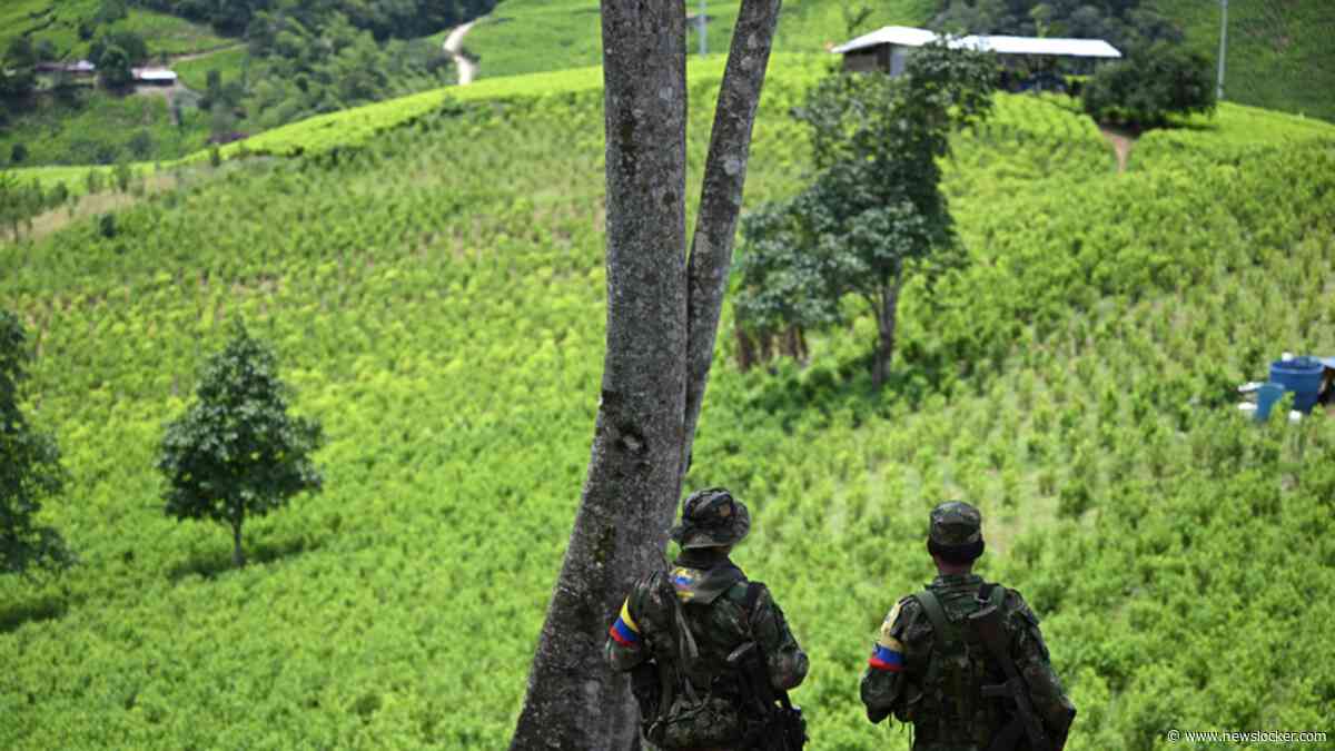 'De coca&iuml;ne business wordt ook wel de chipindustrie van Colombia genoemd'