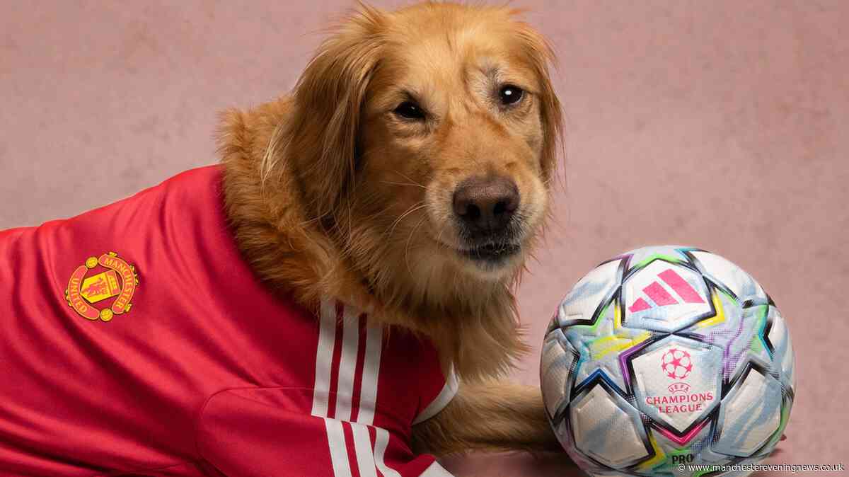 Manchester United fans race to grab cute dog Home Jersey for £19 instead of £35