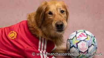 Manchester United fans race to grab cute dog Home Jersey for £19 instead of £35