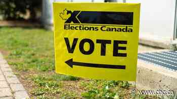 Windsor election official looks to remove barriers and boost voter turnout
