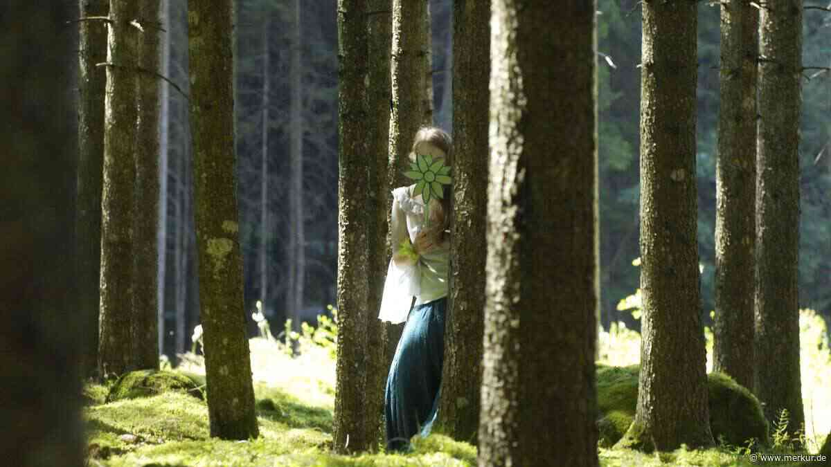 „Aber: Holla, die Waldfee!“: Warum sagt man diesen Ausruf eigentlich?