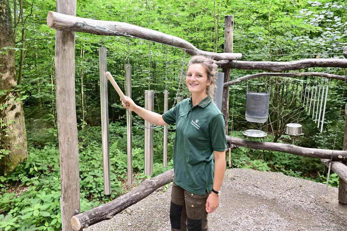 Neuer Erlebnispfad im Erzgebirge: Erster Spaziergang mit Revierförsterin