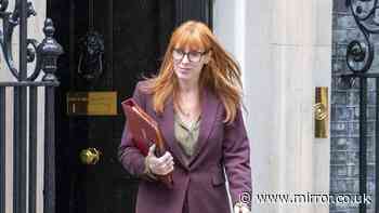 Angela Rayner hits back at Donald Trump over united Ireland outburst