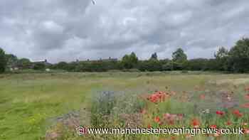 They turned it into an oasis in the middle of their 'depressing' estate - then the diggers came