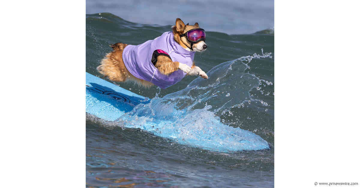 SURF'S UP FOR THE WORLD'S PAW-SOME-EST COMPETITORS!
