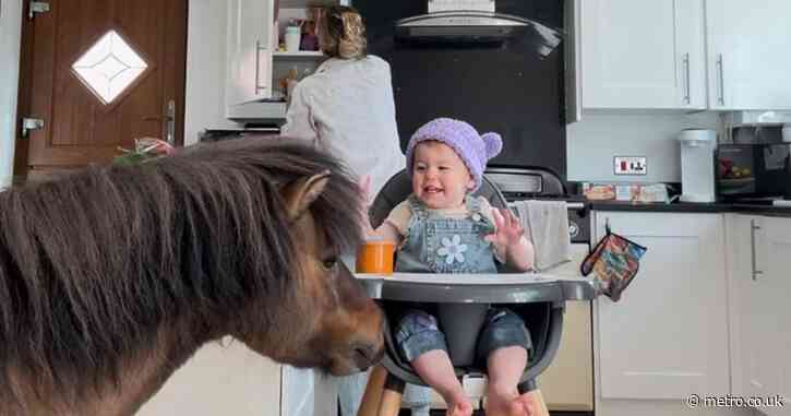 We’re raising our toddler on a farm — she thinks having a pony at breakfast is normal