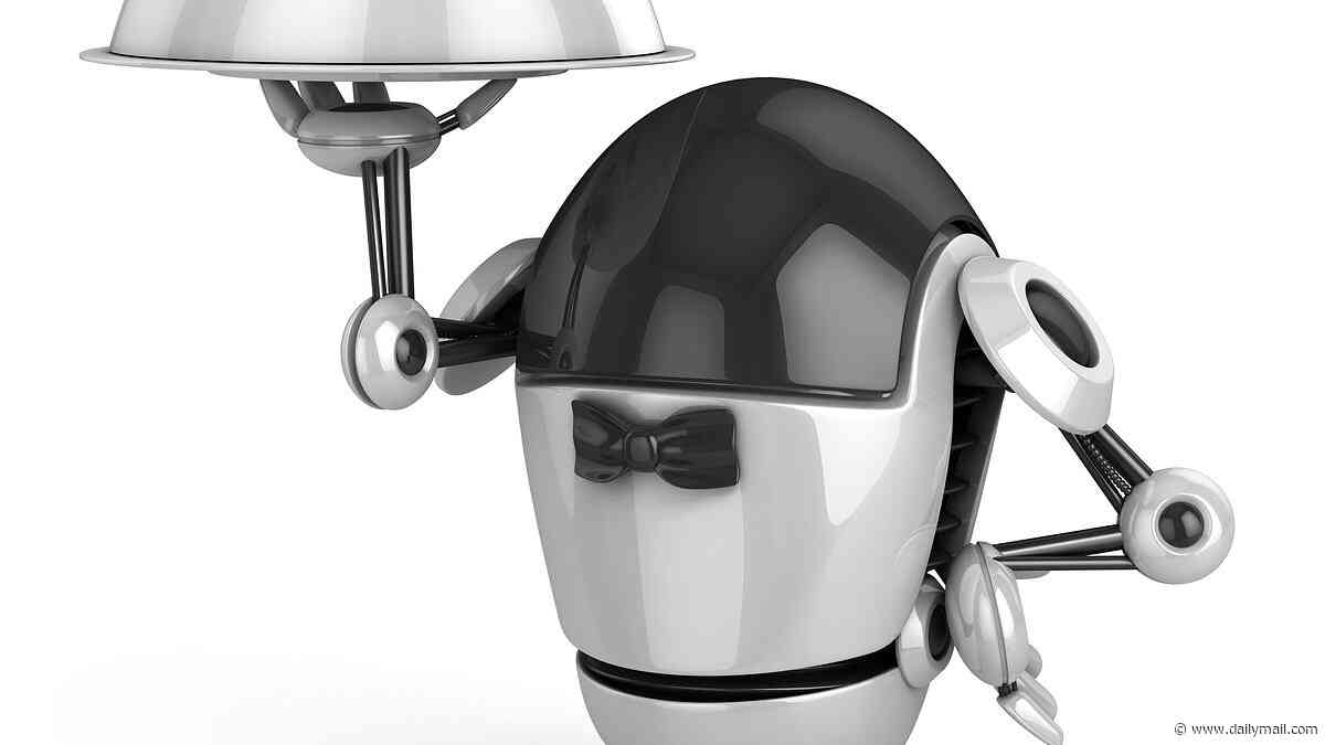 What will the world really look like when robots are doing everything for us?