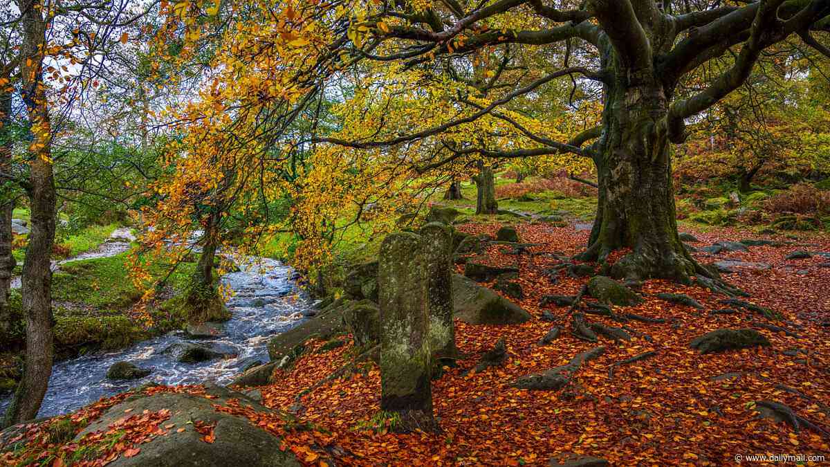 Autumn...the season of crunchy leaves or ghostly spirits?
