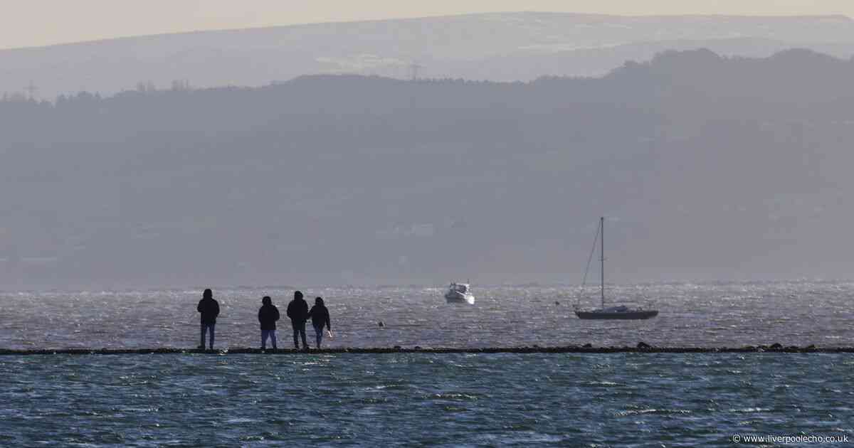 7 relaxing weekend walks with coffee spots around Merseyside