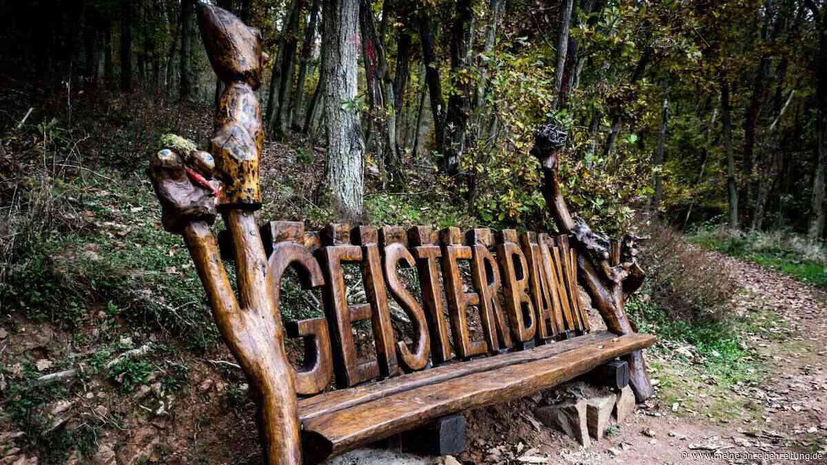 Dieser einsame Pfad in Rheinland-Pfalz raubt Wanderern den Atem!