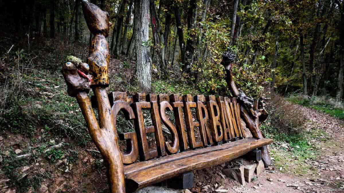 Dieser einsame Pfad in Rheinland-Pfalz raubt Wanderern den Atem!