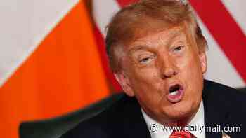 'Incoherent' Donald Trump should back Britain in the face of Argentina's plan for 'colonial takeover' of the Falklands says top Tory Tugendhat