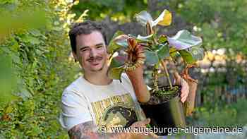 Skurrile Faszination: Fleischfressende Pflanzen sorgen für Aufsehen im Botanischen Garten