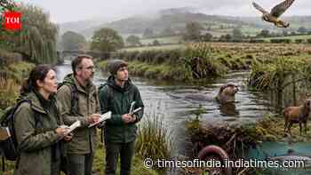 Scientists asked volunteers to live like earthworms and kestrels to rethink human landscapes