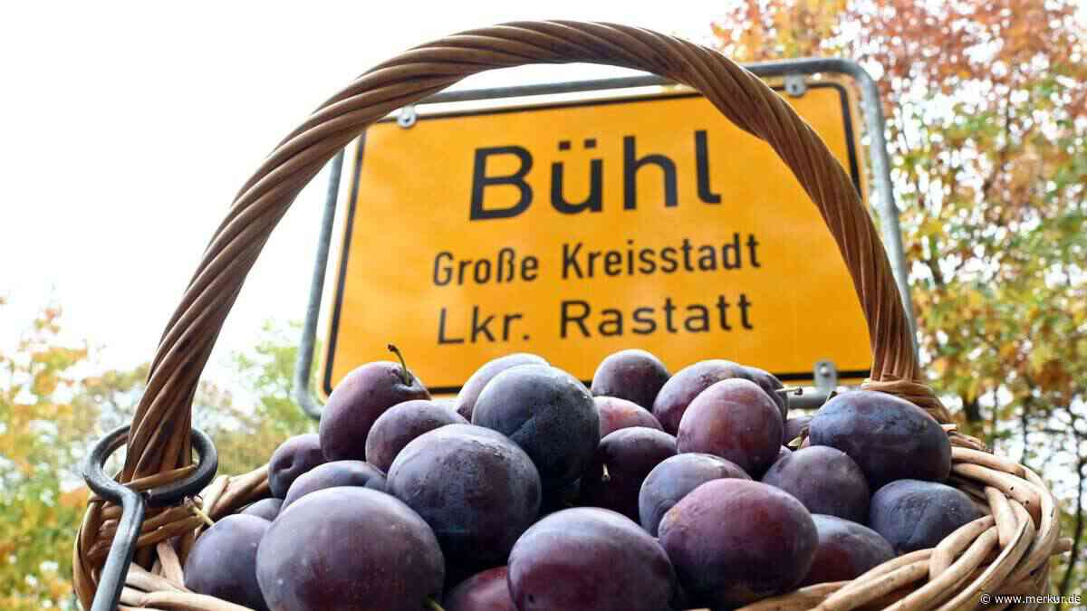 Das süße Ende der Sommerferien: Auf zum Zwetschgenfest in Bühl