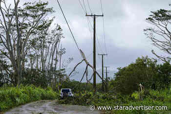 Kokua Line: Who clears downed tree causing power outage?