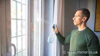 Spiders won't enter your house if you use £10 Amazon spray shoppers recommend