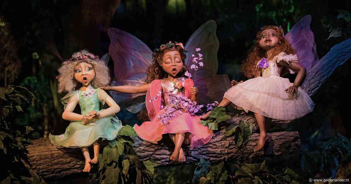 Mensen strooien stiekem as van geliefden uit in Efteling: ‘Droomvlucht en Sprookjesbos zijn populaire plekken’