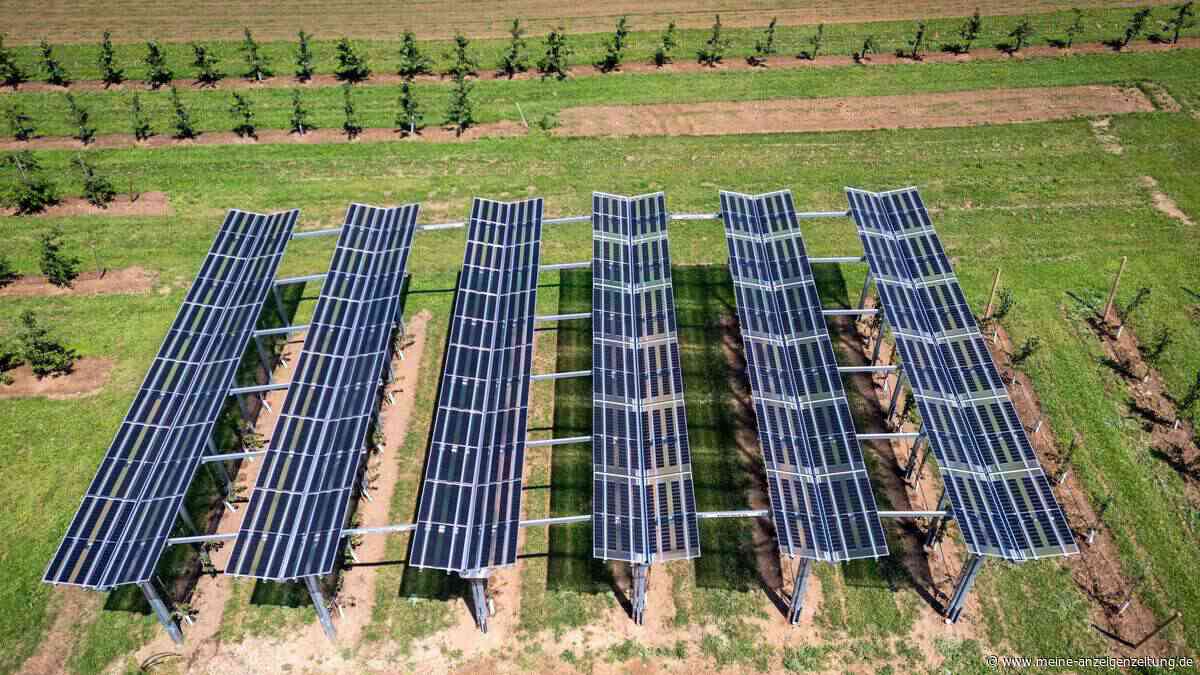 Erst Milliarden-Finanzierung, jetzt Insolvenz: Solar-Riese muss um Überleben fürchten