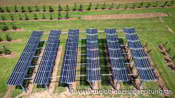 Erst Milliarden-Finanzierung, jetzt Insolvenz: Solar-Riese muss um Überleben fürchten