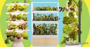 Best Indoor Garden Systems I’ve Been Testing All Year (2026)