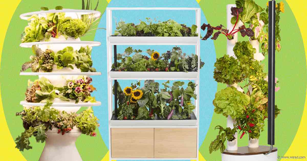 Best Indoor Garden Systems I’ve Been Testing All Year (2026)