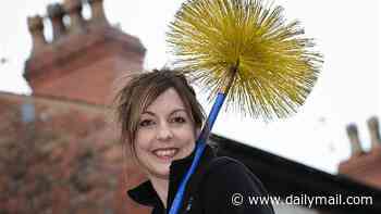 Chimney sweeps turf war turns dirty as firm sets up website mocking rival as 'backstabber of the year'