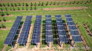 Erst Milliarden-Finanzierung, jetzt Insolvenz: Solar-Riese muss um Überleben fürchten