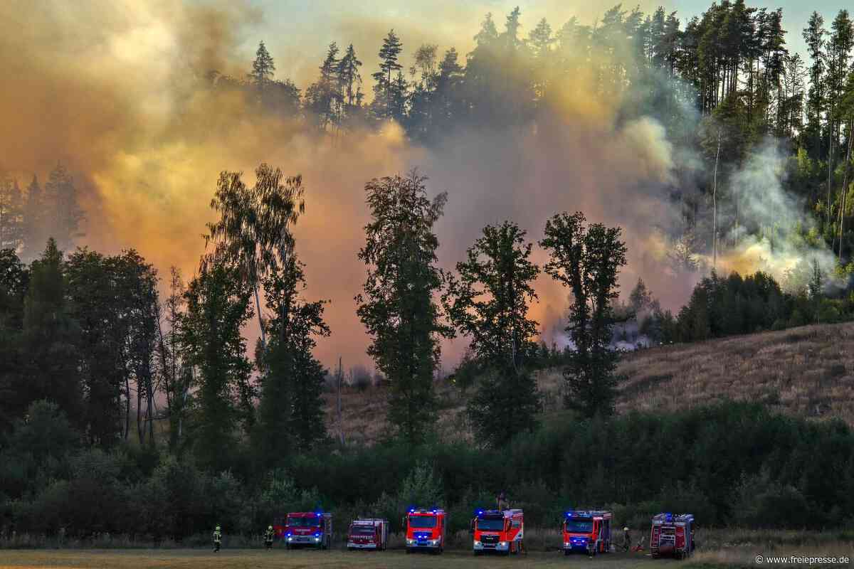 Nach großem Waldbrand in Plauen: Was das Feuer im Schwarzen Holz verschont hat