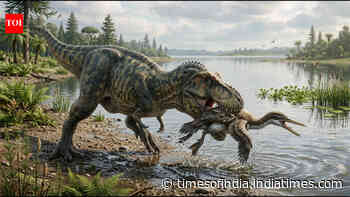 Feather found in dinosaur poop may explain how birds survived the asteroid that killed dinosaurs