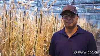 Brandon researchers working to develop more climate-resilient crops