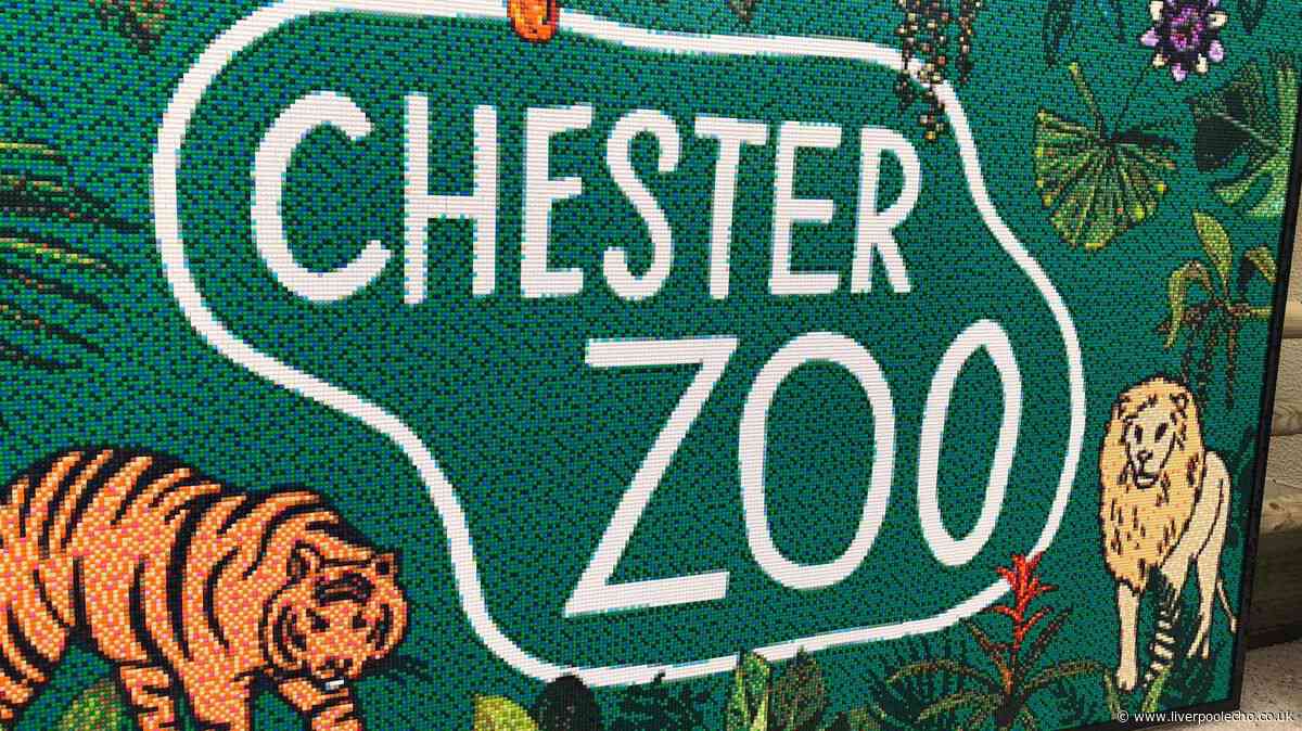 Chester Zoo advertises tickets for 'child predator tour'