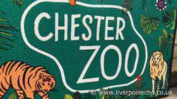 Chester Zoo advertises tickets for 'child predator tour'